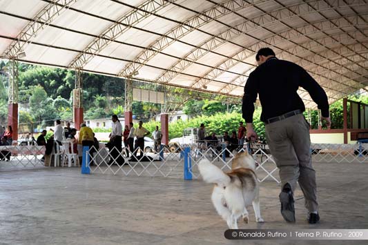 Clique sobre a foto para fechar